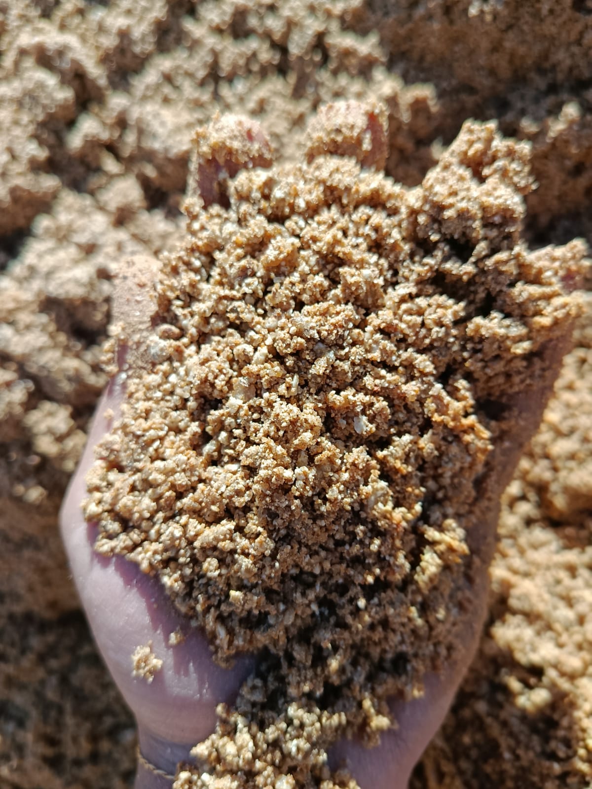 Areia Grossa